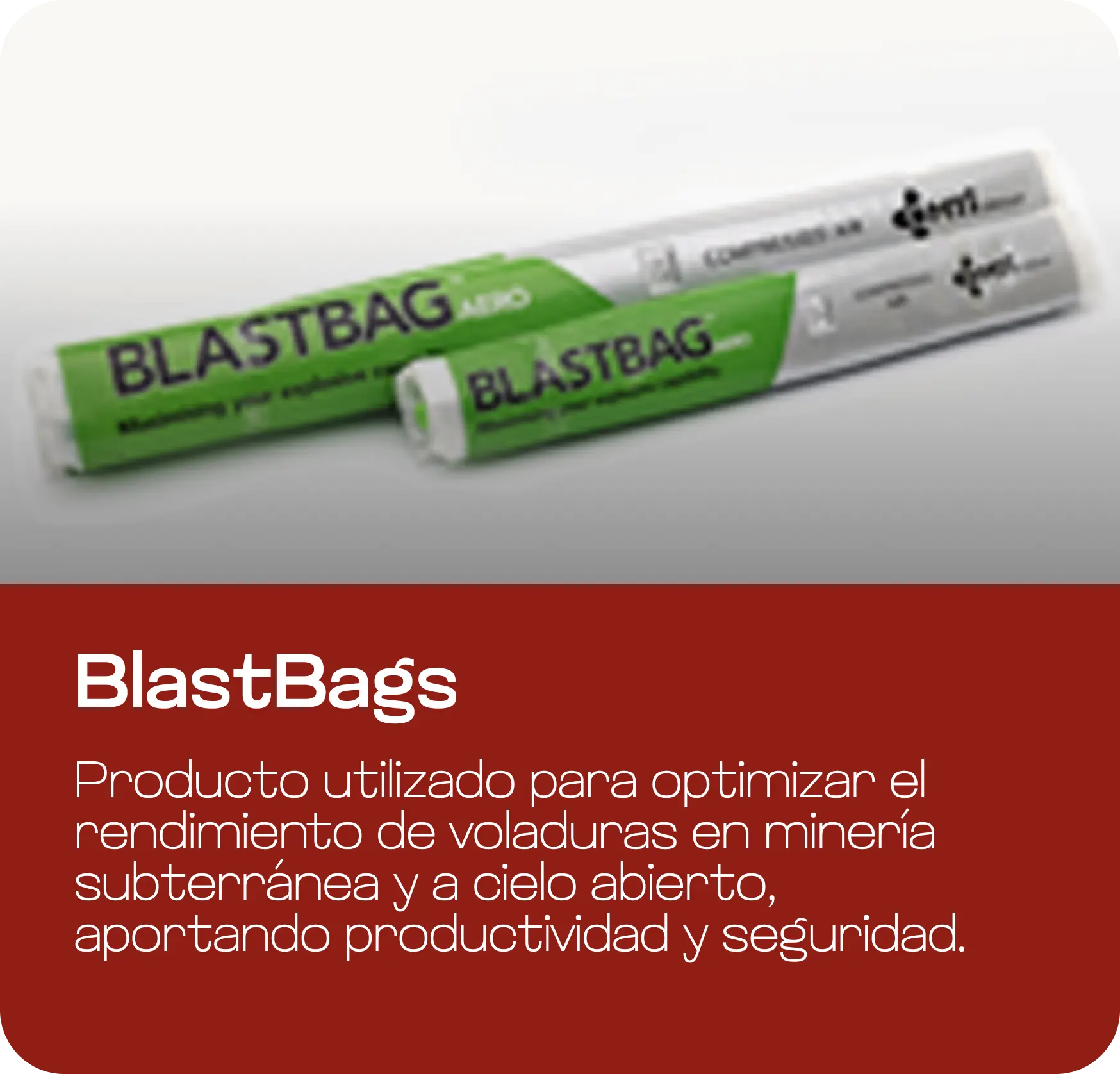 BlastBags