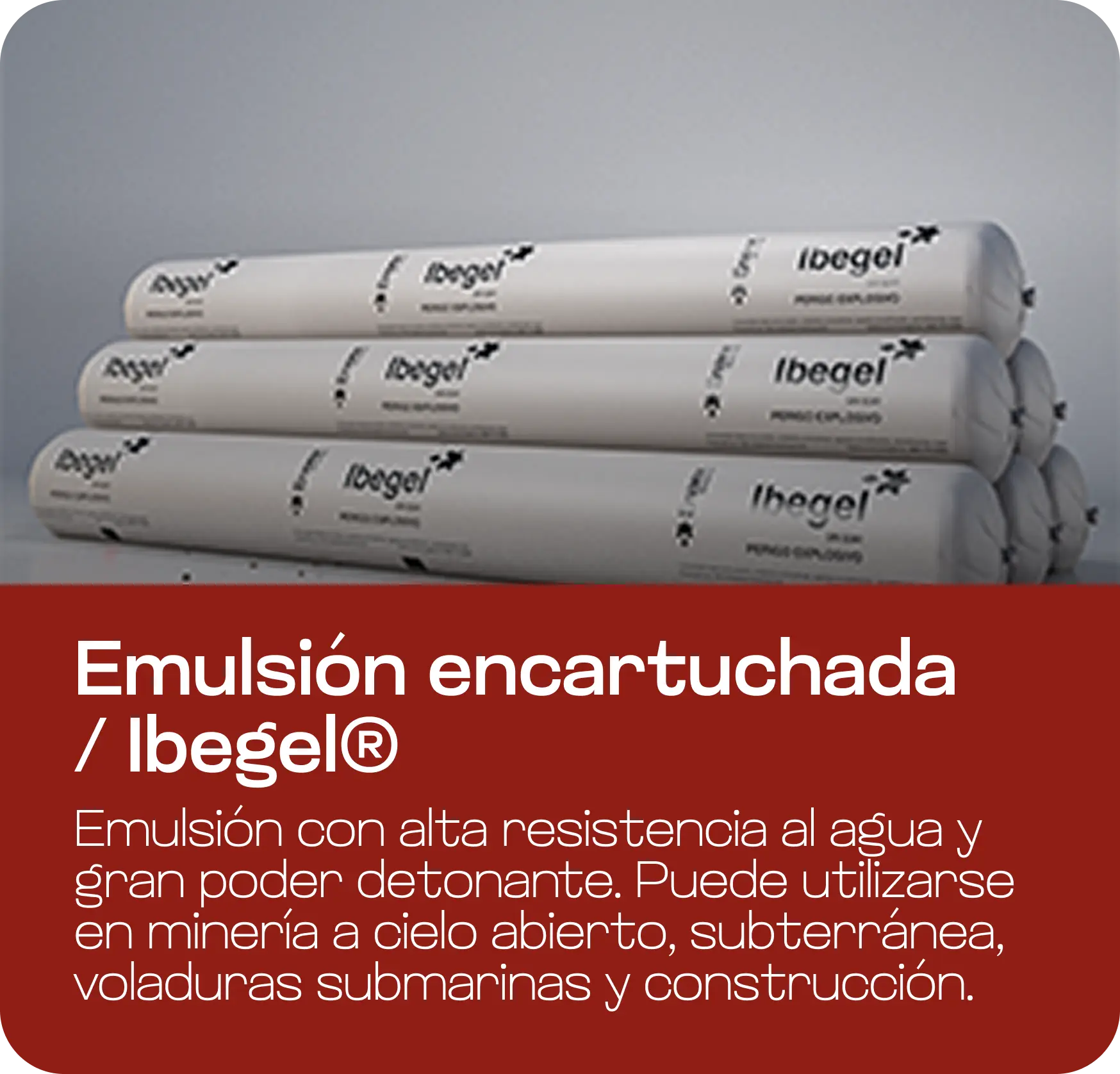 Emulsión encartuchada Ibegel®