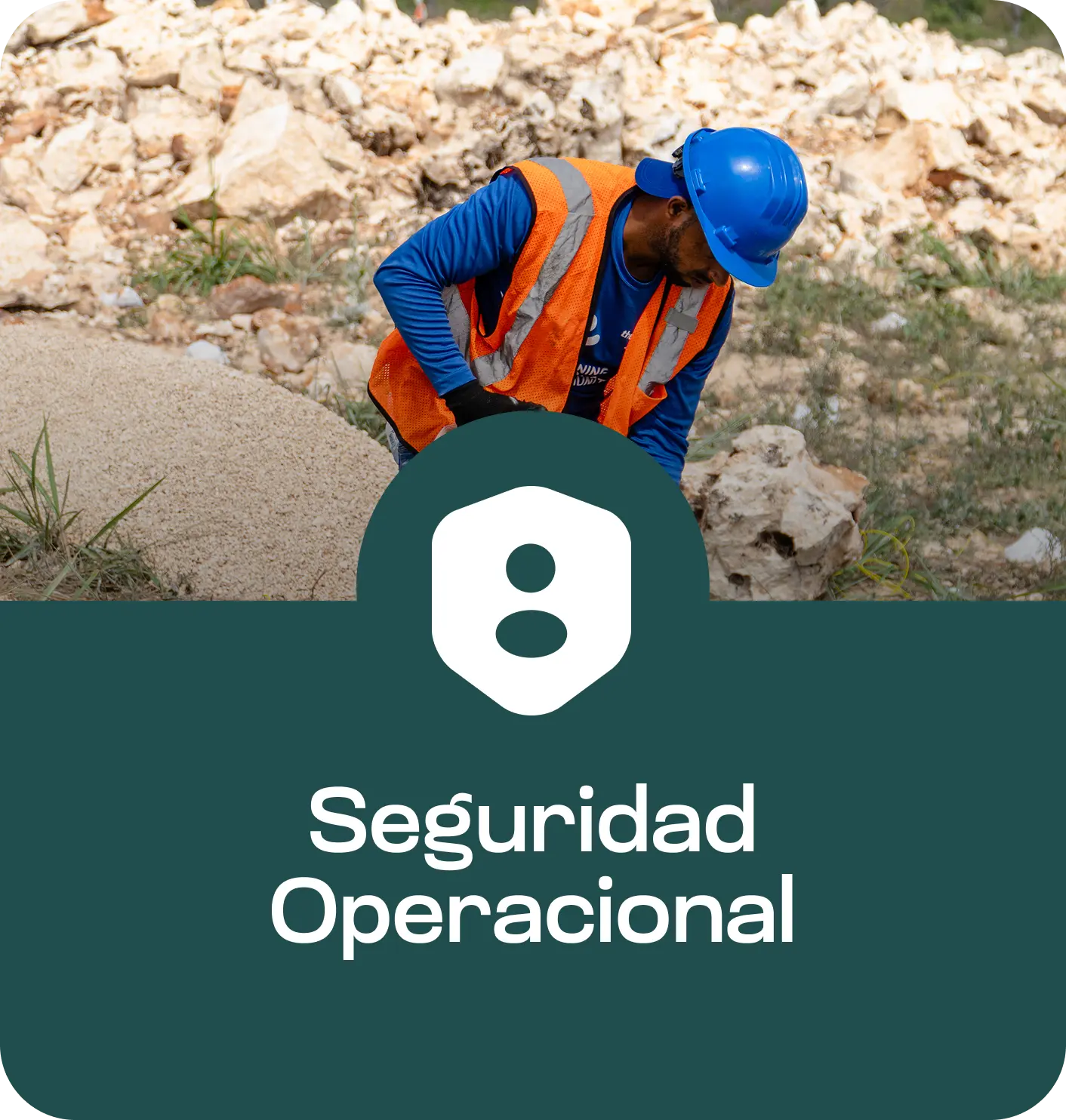 Seguridad Operacional