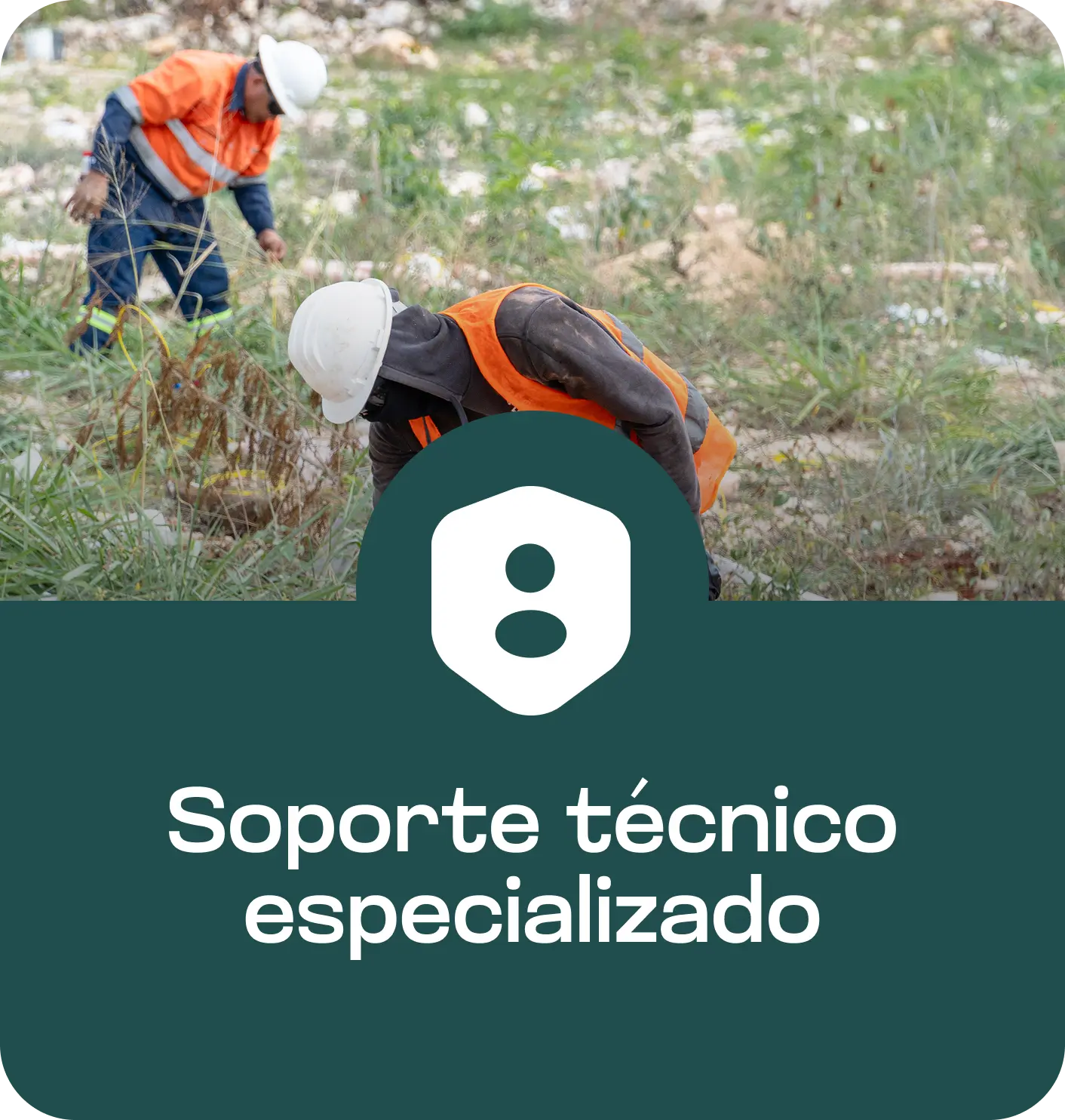 Soporte técnico especializado